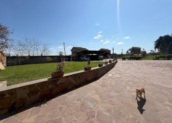 7322b504-2dfe-441f-9f7d-23b0d797a19b.jpg - Villa Via Trigno 27, Aprilia - photo 5