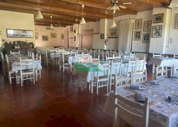 PHOTO-2026-04-07-13-26-35 2.jpg - Stable - Palace Via Antonio Seppilli, Ravenna - photo 4