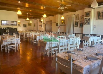 PHOTO-2026-04-07-13-26-35 4.jpg - Stable - Palace Via Antonio Seppilli, Ravenna - photo 6