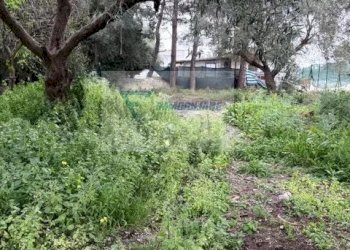 Villa Via San Guglielmo Abate, Siracusa - foto 6