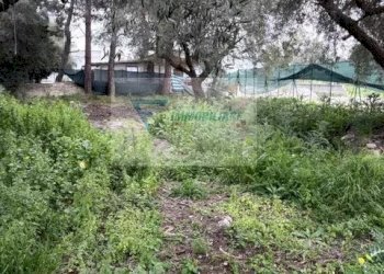 Villa Via San Guglielmo Abate, Siracusa - foto 7