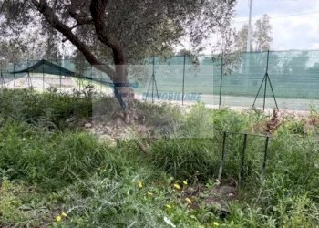 Villa Via San Guglielmo Abate, Siracusa - foto 8