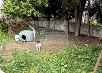 Villa Via San Guglielmo Abate, Siracusa - foto 33