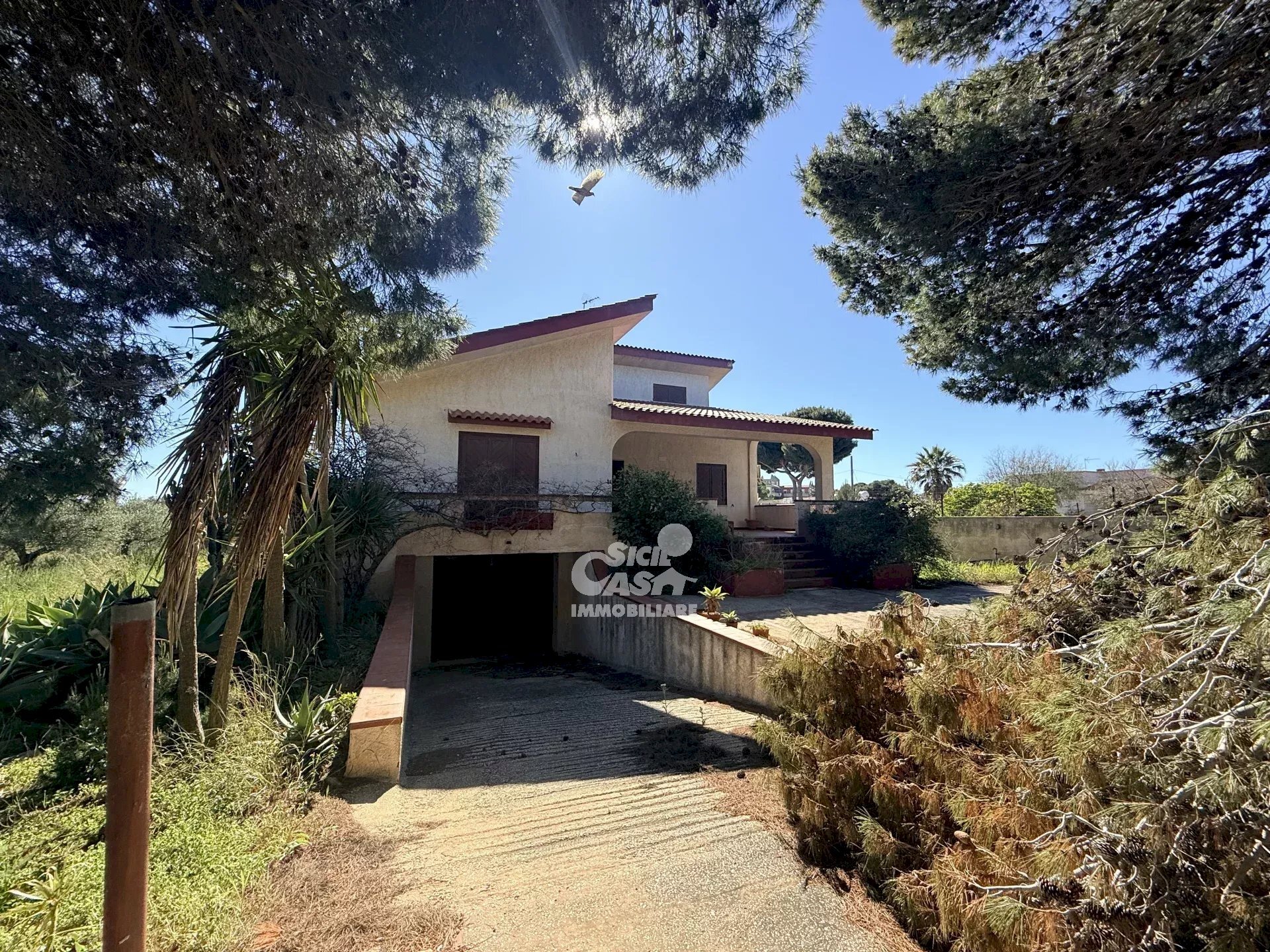 Villa Marsala - photo 2