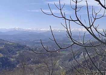 Casale Marsaglia - foto 3