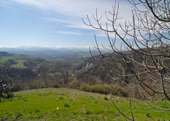 Casale Marsaglia - foto 26