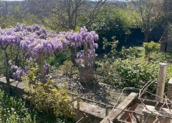 Dimora Storica Marsaglia - foto 15