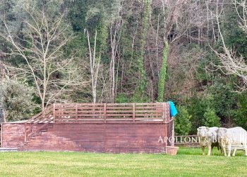 Rustic Strada di Fizzano, 11, Castellina in Chianti - photo 28