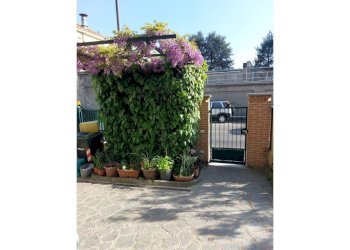 Casa indipendente Asti - foto 7