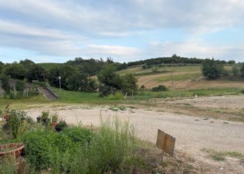 Villa a Schiera San Damiano d'Asti - foto 3