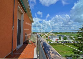 Terreno non edificabile Ozzano dell'Emilia - foto 8