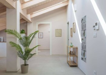 Mansarda Piazza savoia, Busca - foto 16