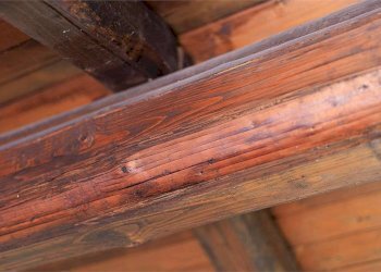 Rustic Via torino, 210, hamlet Madonna dell'Olmo, Cuneo - photo 32