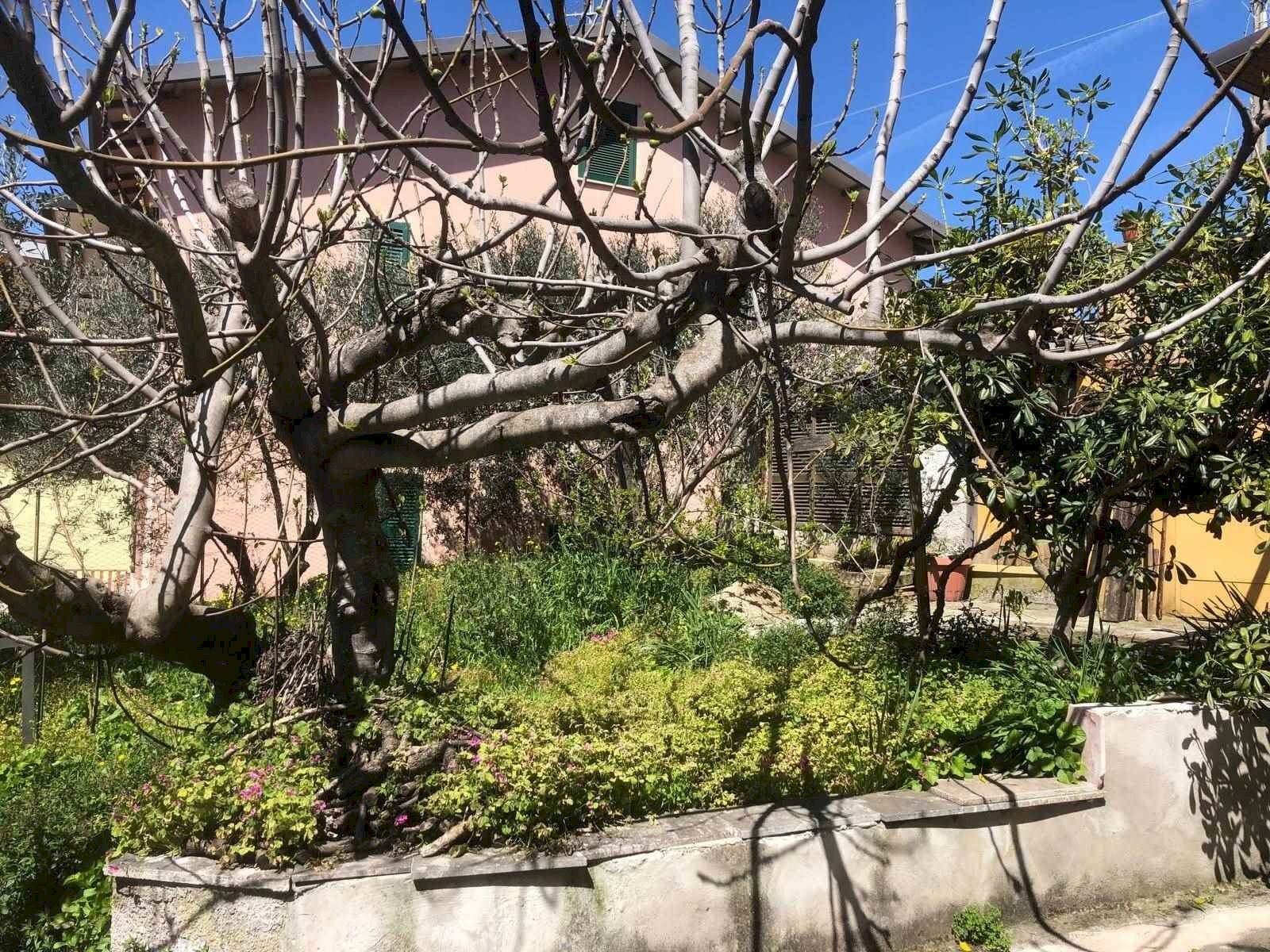 Casa indipendente Acuto - foto 1