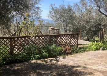 Casa indipendente Acuto - foto 4