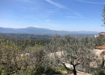 Casa indipendente Acuto - foto 5