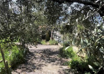 Casa indipendente Acuto - foto 22