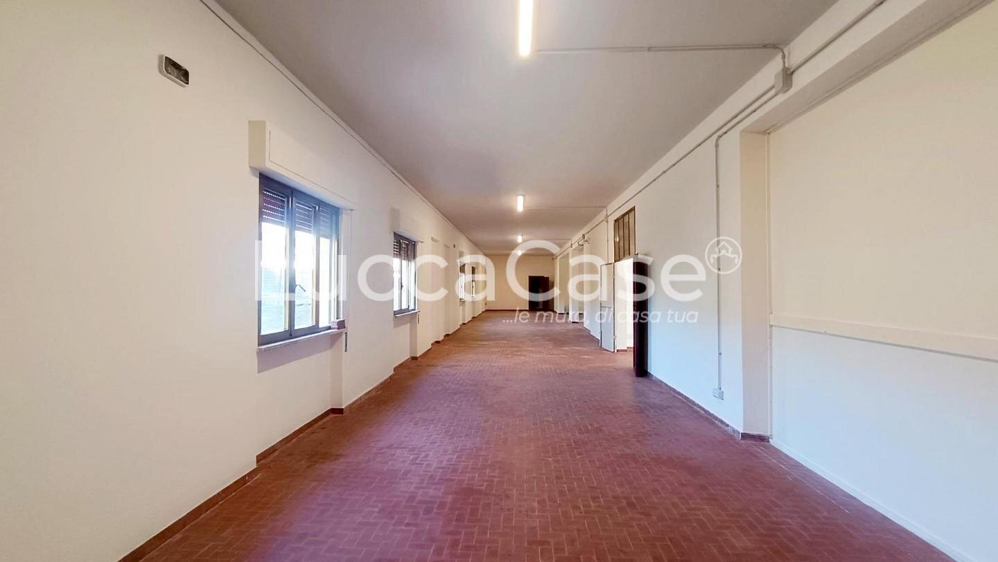 Laboratory Lucca (neighborhood San Concordio Contrada) - photo 1