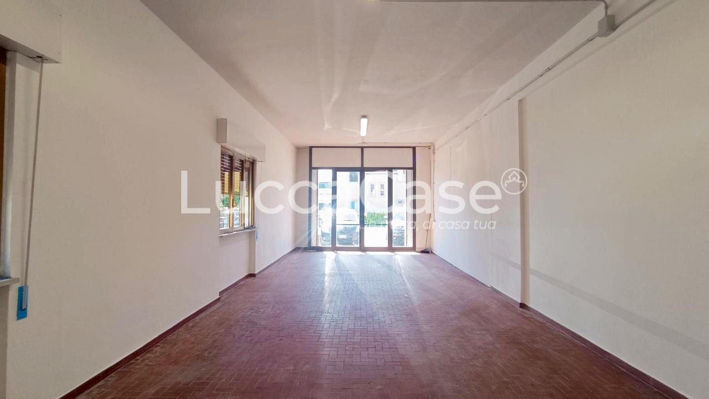 Laboratory Lucca (neighborhood San Concordio Contrada) - photo 2