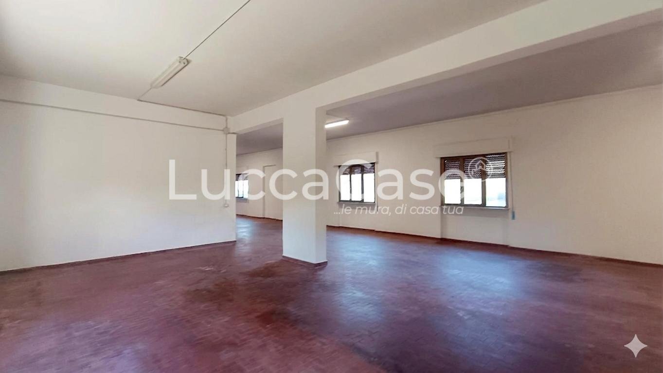 Laboratory Lucca (neighborhood San Concordio Contrada) - photo 3