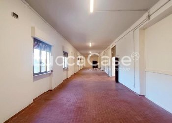 Laboratory Lucca (neighborhood San Concordio Contrada) - photo 1