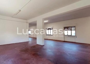 Laboratory Lucca (neighborhood San Concordio Contrada) - photo 3