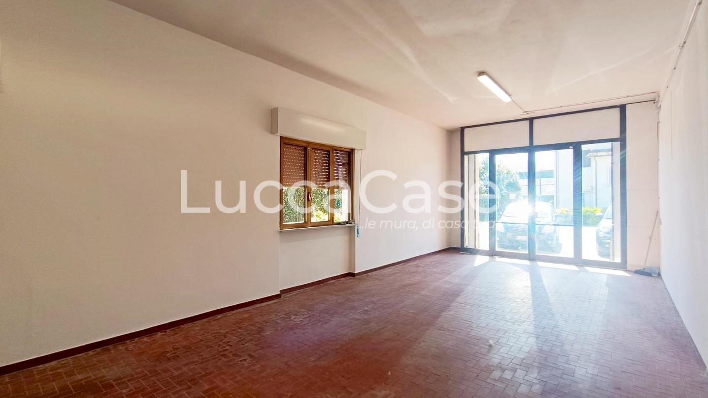 Laboratory Lucca (neighborhood San Concordio Contrada) - photo 3