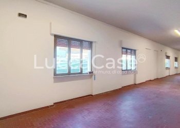 Laboratory Lucca (neighborhood San Concordio Contrada) - photo 6