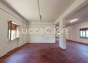Laboratory Lucca (neighborhood San Concordio Contrada) - photo 11