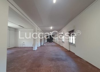 Laboratory Lucca (neighborhood San Concordio Contrada) - photo 14