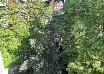 Trilocale Milano (zona Washington) - foto 10