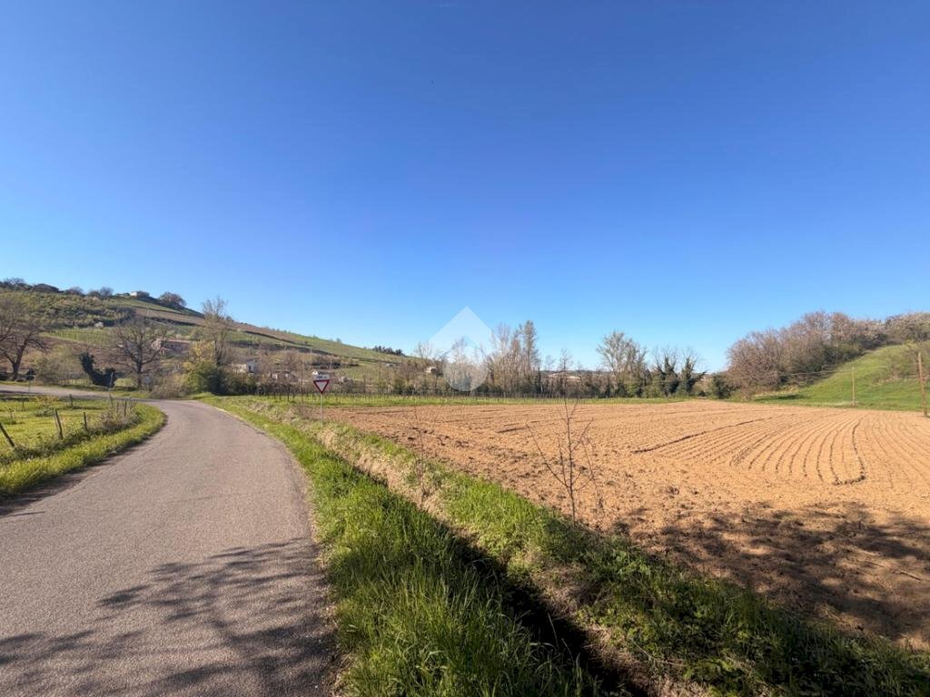 Terreno edificabile Via Tiola, Valsamoggia - foto 1