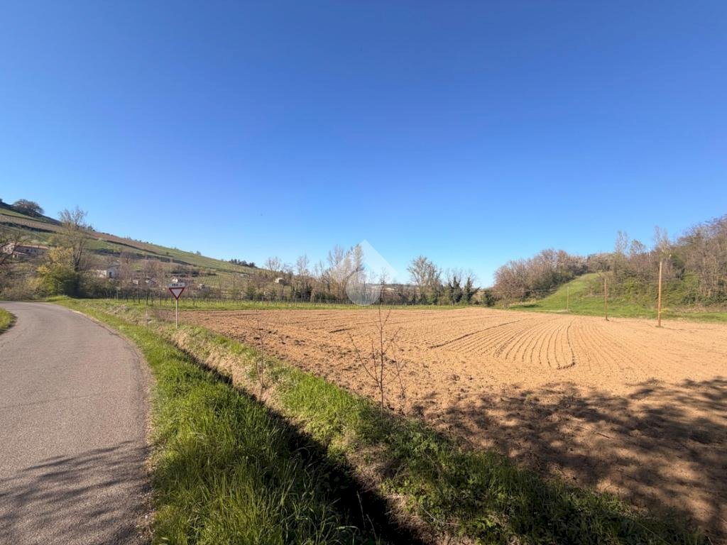 Terreno edificabile Via Tiola, Valsamoggia - foto 2