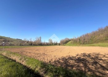 Terreno edificabile Via Tiola, Valsamoggia - foto 5