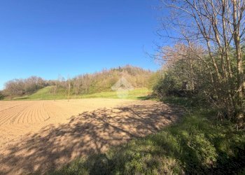 Terreno edificabile Via Tiola, Valsamoggia - foto 7