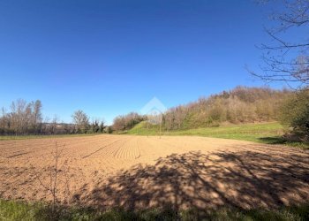 Terreno edificabile Via Tiola, Valsamoggia - foto 8