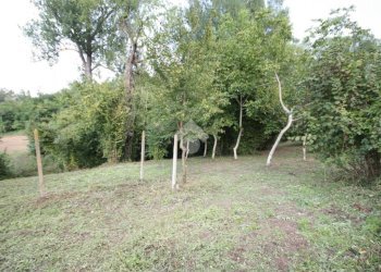 Terreno edificabile Via Tiola, Valsamoggia - foto 9