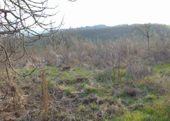 Casa indipendente Asti - foto 27