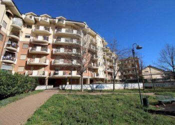 Trilocale Moncalieri - foto 12
