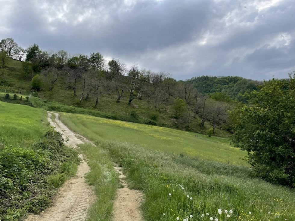 Terreno agricolo Fontanelice - foto 2