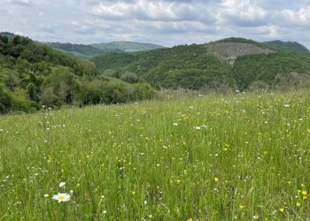 Terreno agricolo Fontanelice - foto 1