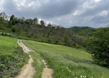 Terreno agricolo Fontanelice - foto 2