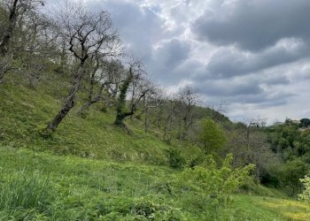Terreno agricolo Fontanelice - foto 3