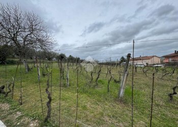 Trilocale Via Abbazia, Morciano di Romagna - foto 21