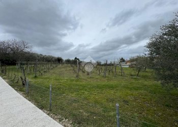 Trilocale Via Abbazia, Morciano di Romagna - foto 24