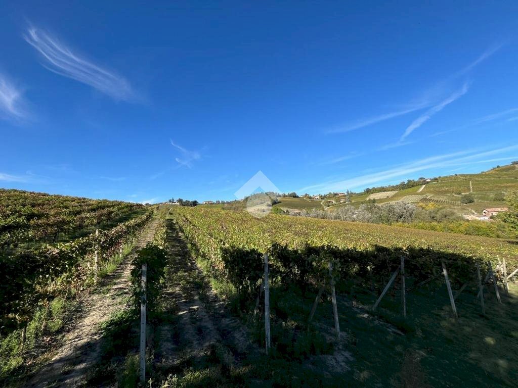 Terreno agricolo Valle San Giovanni, Calamandrana - foto 1