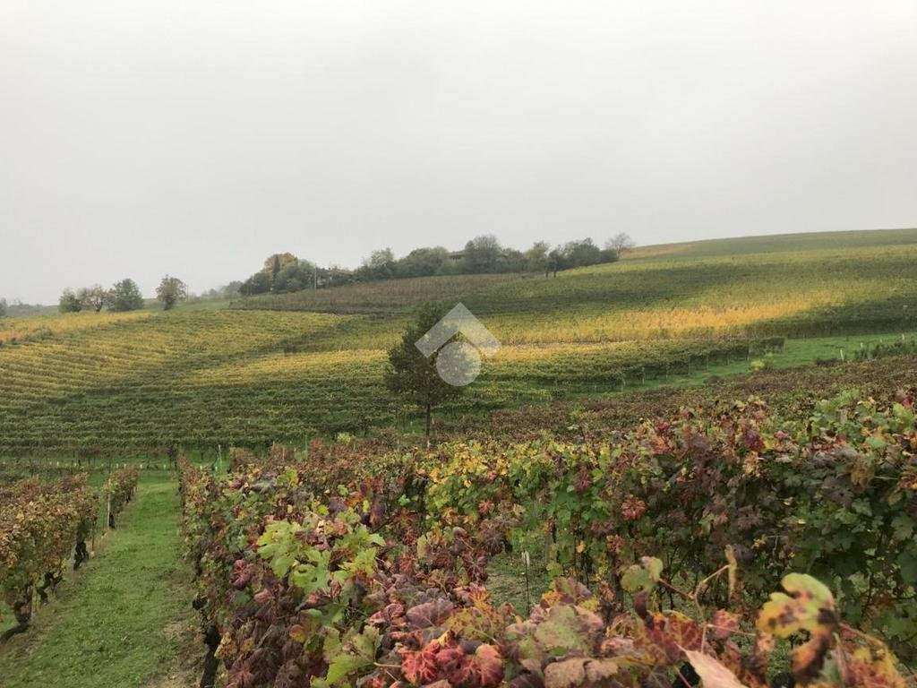 Terreno agricolo Valle San Giovanni, Calamandrana - foto 2