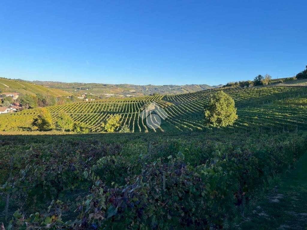 Terreno agricolo Valle San Giovanni, Calamandrana - foto 3