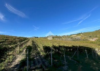 Terreno agricolo Valle San Giovanni, Calamandrana - foto 1