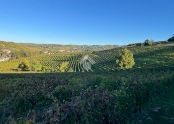 Terreno agricolo Valle San Giovanni, Calamandrana - foto 3